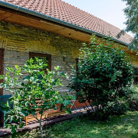Kohaz Apartman Apartment Veszprem Ngoại thất bức ảnh