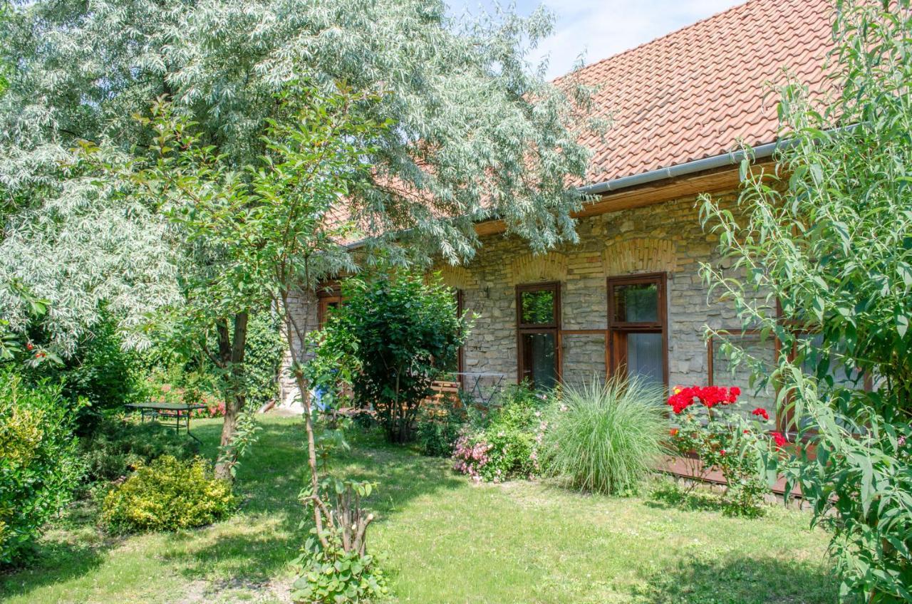 Kohaz Apartman Apartment Veszprem Ngoại thất bức ảnh